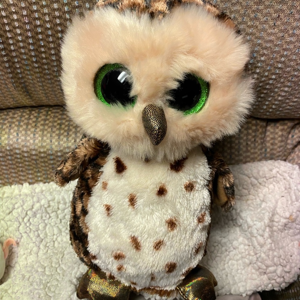 Sammy ~ beanie boo🦉